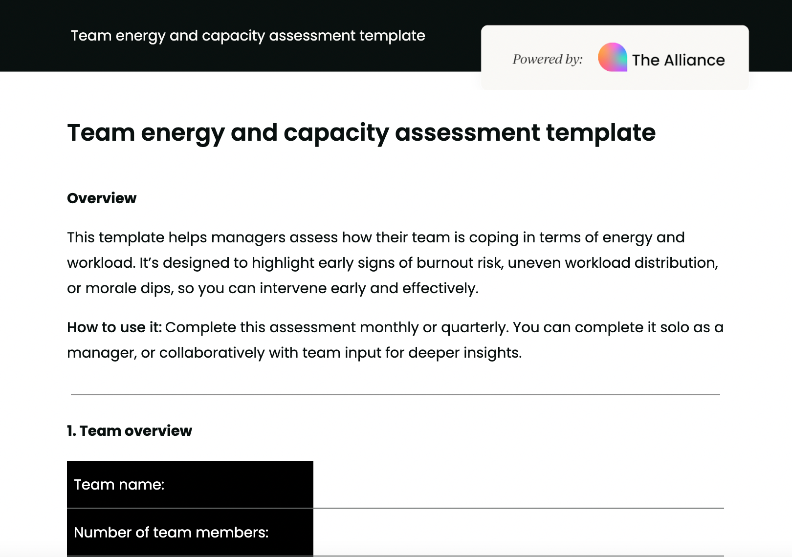 Team energy and capacity assessment template preview image